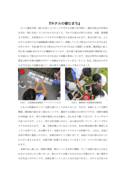『ホタルの棲むまち』
