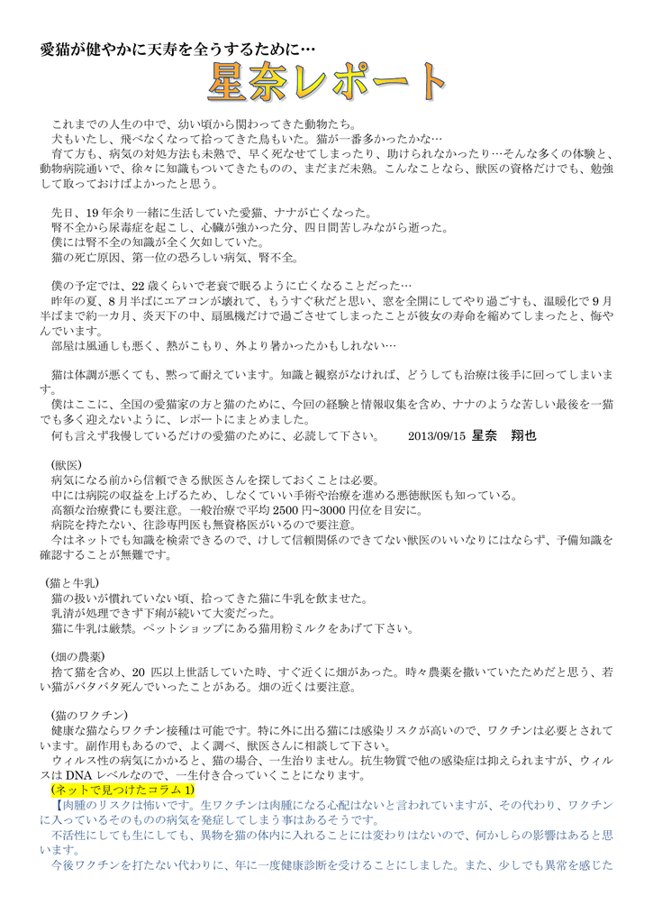 愛猫が健やかに天寿を全うするために