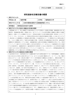 研究進捗状況報告書の概要