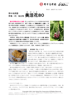 製品案内 - アンチエイジング・プロ