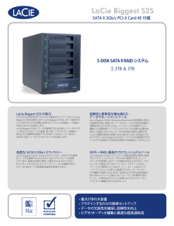 biggest s2s Datasheet