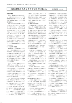 本文PDF