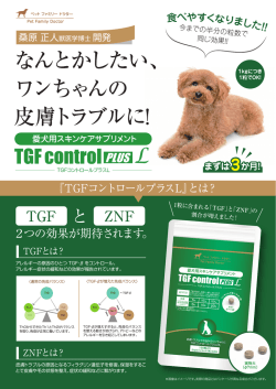 PDFダウンロード - 株式会社Deto