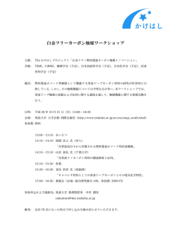 白金フリーカーボン触媒ワークショップ