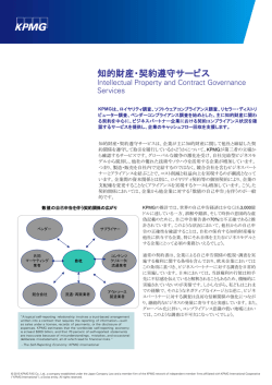 Intellectual Property and Contract Governance Services