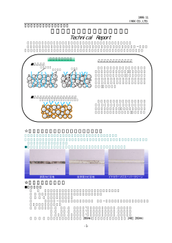 Technical Report
