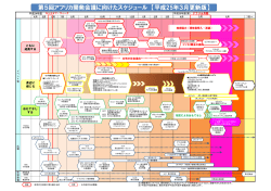 第5回アフリカ開発会議に向けたスケジュール 【平成25年3月更新版】