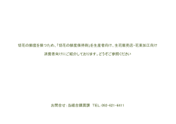 切花の鮮度保持剤 - 福岡県花卉農業組合