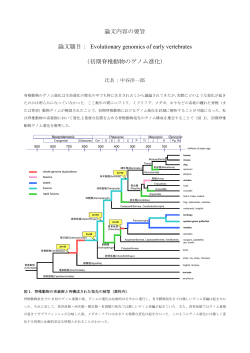 要旨を表示する