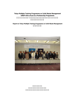 研修報告書 - 日本外交協会