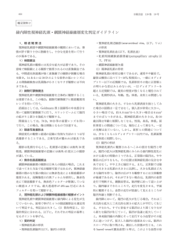 緑内障性視神経乳頭・網膜神経線維層変化判定