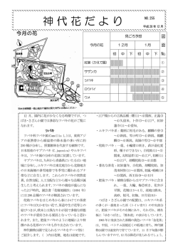 神代花だより - 東京都公園協会