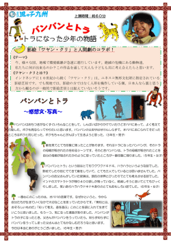 ～感想文・写真～