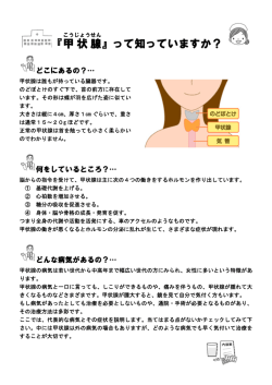 3-甲状腺パンフレット