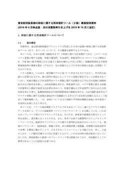 東京財団版長期の財政に関する将来推計ツール（&beta;版）概要説明資料