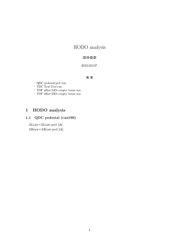 2010.02.07 HODO analysis