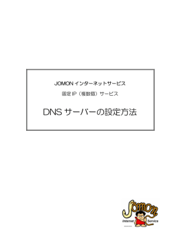 DNS サーバーの設定方法
