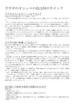 おしっこ - 清水動物病院