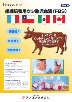 組織培養用ウシ胎児血清（FBS）