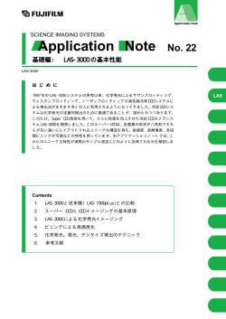 NO.22：基礎編：LAS