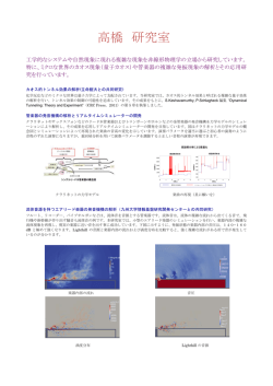 管楽器の発音機構の解析とリアルタイムシミュレーターの開発