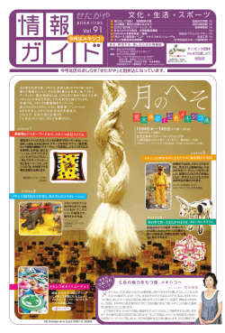 2008年11月25日号