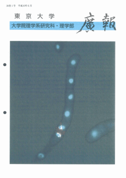 30巻 1号 (1998年6月発行) - 東京大学 大学院理学系研究科・理学部