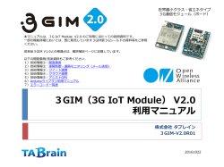 3GIM V2.0 マニュアル