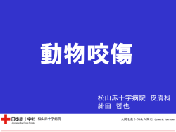 動物咬傷 - 日本赤十字社 松山赤十字病院