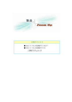 製品ズームアップ 圧電デバイス1