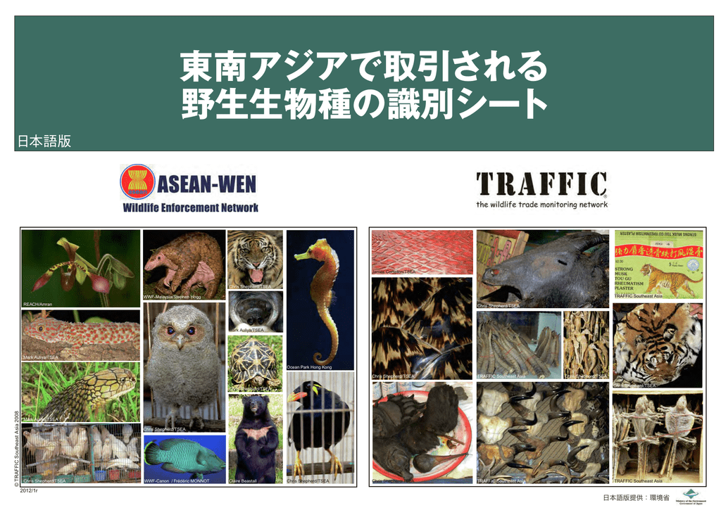 東南アジアで取引される 野生生物種の識別シート