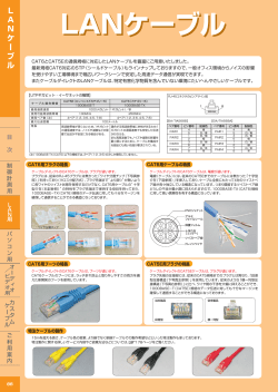 LANケーブル LANケーブル