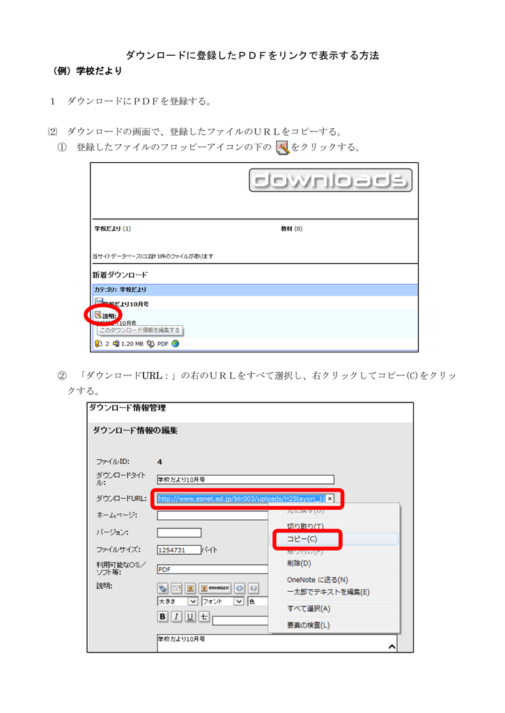 ダウンロードに登録したpdfをリンクで表示する方法