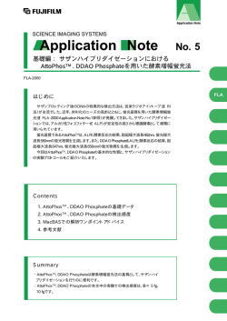 NO.5：基礎編