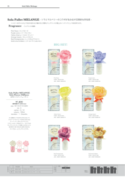 Sola Pallet Melange PDF