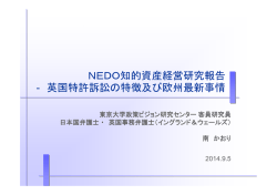 英国特許訴訟の特徴及び欧州最新事情 - 東京大学政策ビジョン研究