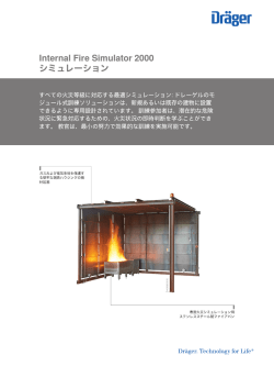 製品情報: Internal Fire Simulator 2000