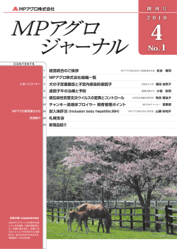 pdfファイル （9.1MB）