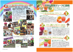 16ページ～17ページ