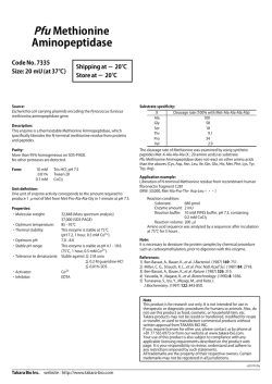 Pfu Methionine Aminopeptidase