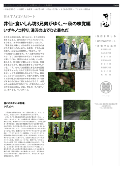 HATAGOリポート／井仙・食いしん坊3兄弟がゆく。〜秋