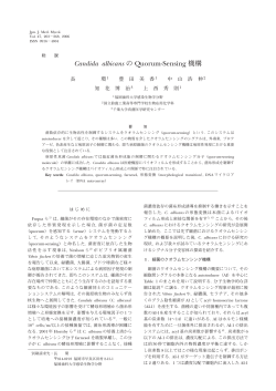 Candida albicans の Quorum-Sensing 機構