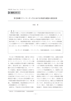 黒毛和種フリーマーチン牛における外部生殖器の重度
