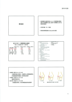 野球肘（PDFファイル・485KB）