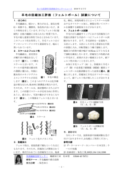 羊毛の防縮加工評価（フェルトボール）試験について