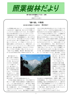 照葉樹林だより 第2号