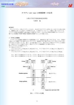 ケラチン sub type と病理診断への応用