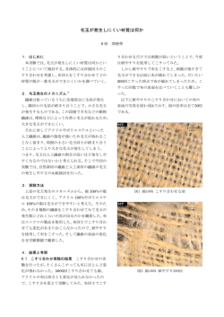 毛玉が発生しにくい材質は何か