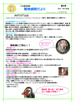 動物病院だより