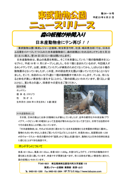 森の妖精が仲間入り